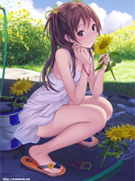 ひまわりの夏だより