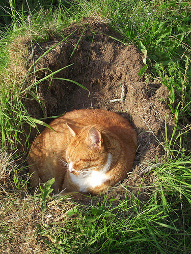 恥ずかしくて、穴があったら埋まってたい……
