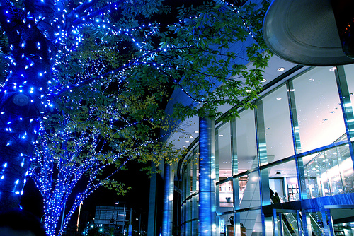 冬のイルミネーション