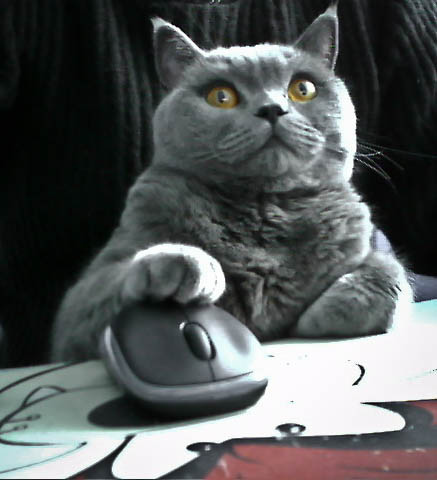 クリックするだけの簡単なお仕事です