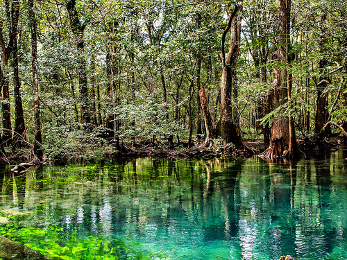 いつだって澄んだ気持ちで