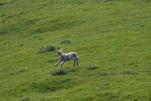 手足が動くって素晴らしいことだよね