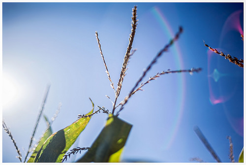 迷いが晴れました